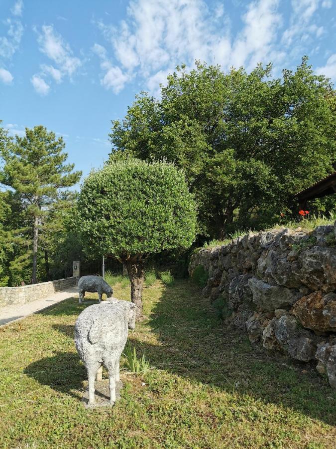 Domaine Geodora, Parfumeur En Provence Villa Montauroux Luaran gambar