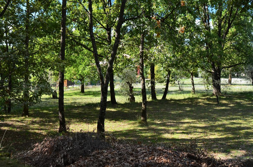 Domaine Geodora, Parfumeur En Provence Villa Montauroux Luaran gambar