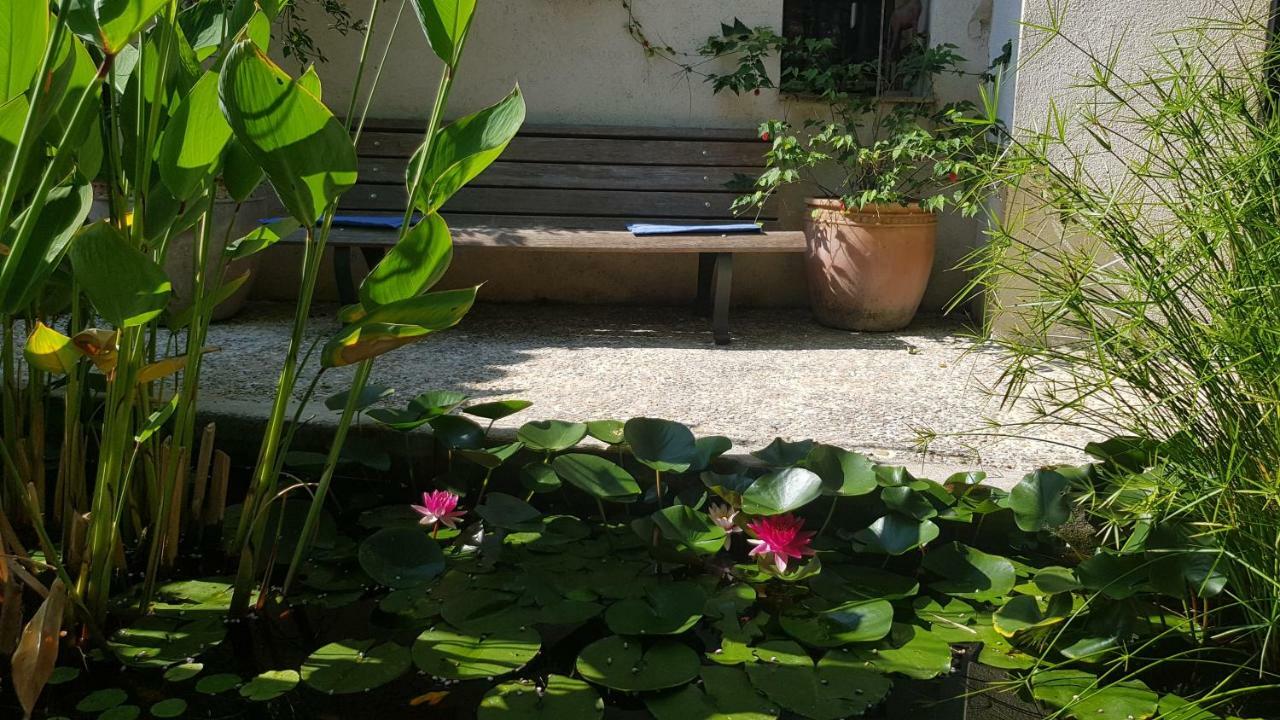 Domaine Geodora, Parfumeur En Provence Villa Montauroux Luaran gambar